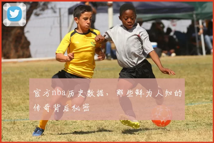 官方nba历史数据，那些鲜为人知的传奇背后秘密