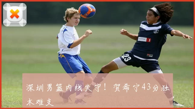 深圳男篮内线失守!贺希宁43分独木难支
