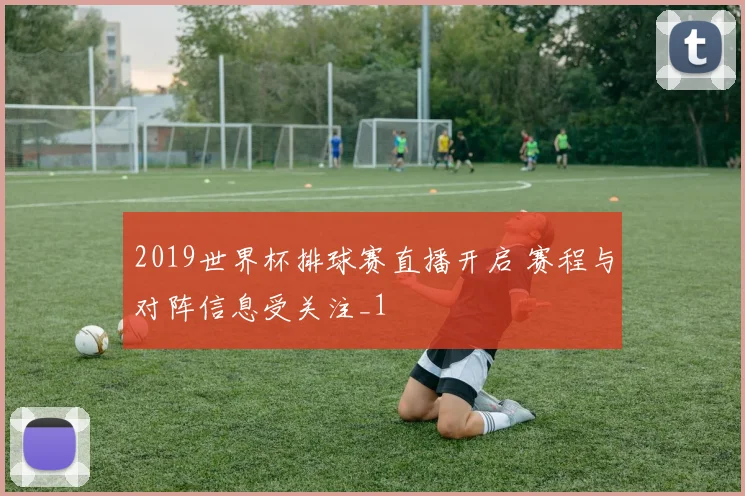 2019世界杯排球赛直播开启 赛程与对阵信息受关注_1