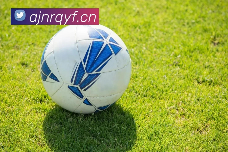 乐竞体育官方网平台生态图